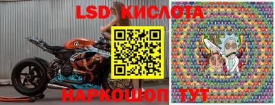 трава Новодвинск